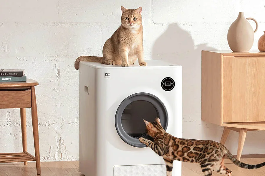 best automatic litter box for cats