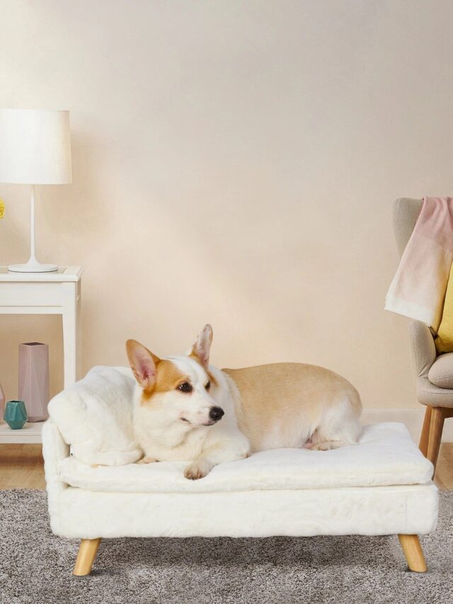 Pet Bed 3