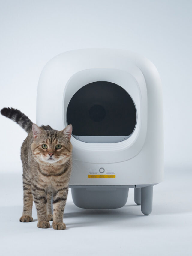 Smart Automatic Self-Cleaning Cat Litter Box 4